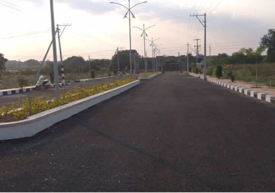  tricolour brown valley Plot