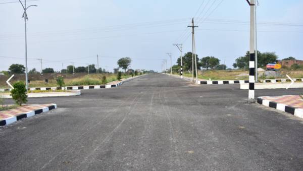  tricolour-brown-valley Plot