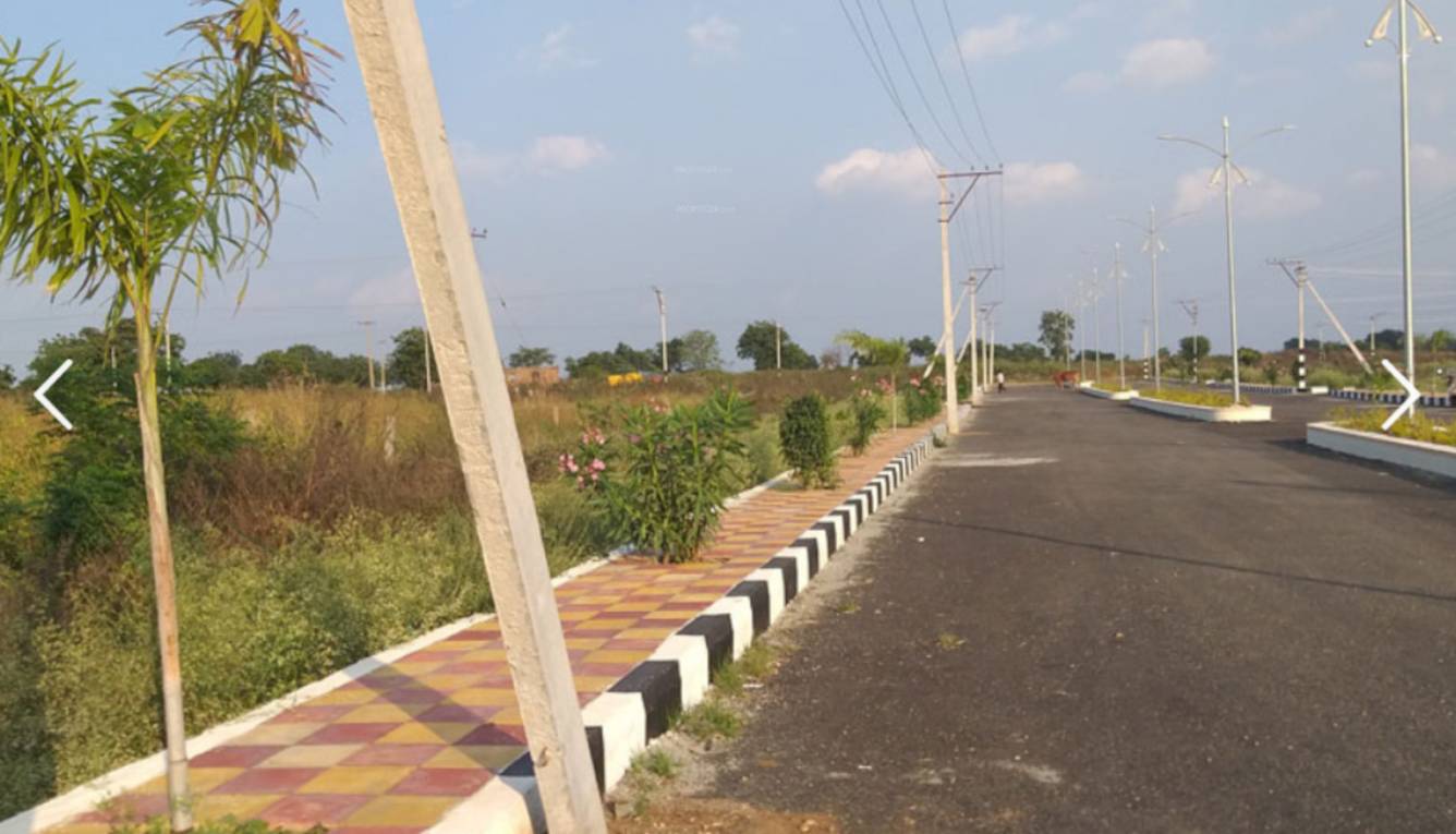  tricolour brown valley Plot