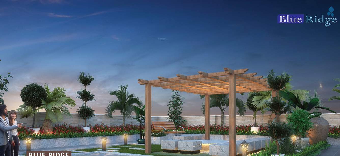  blue ridge Terrace Garden