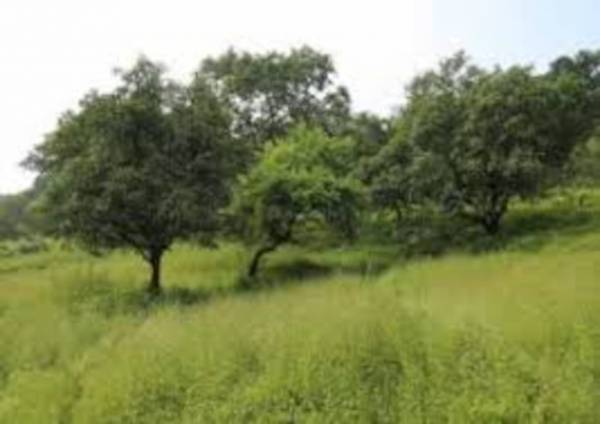  evernest-prime-lower-parel Plot