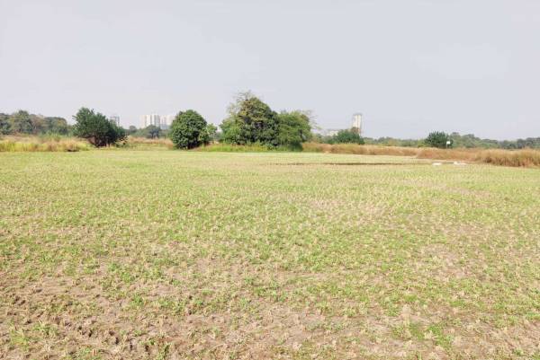  evernest-prime-goregaon Elevation