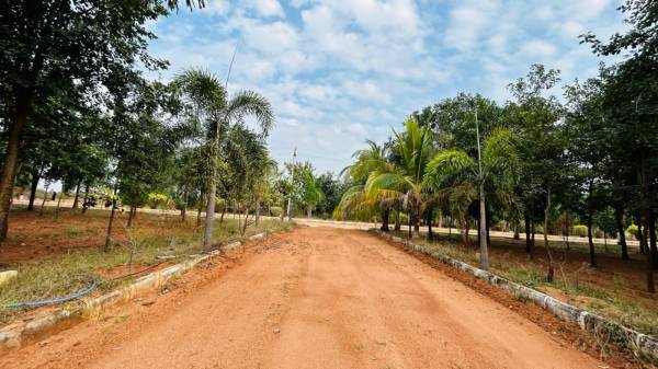  the-green-ridge Elevation