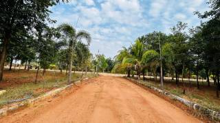 Project Image Project Image