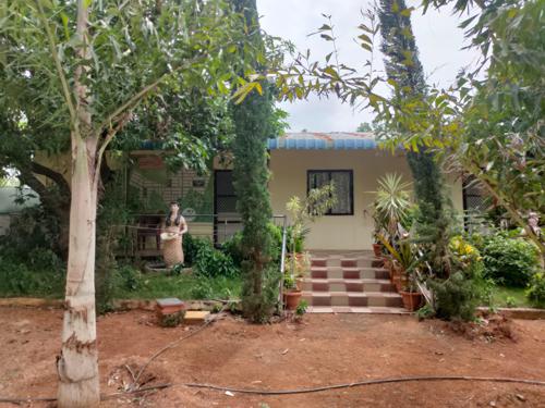  the-green-ridge Others