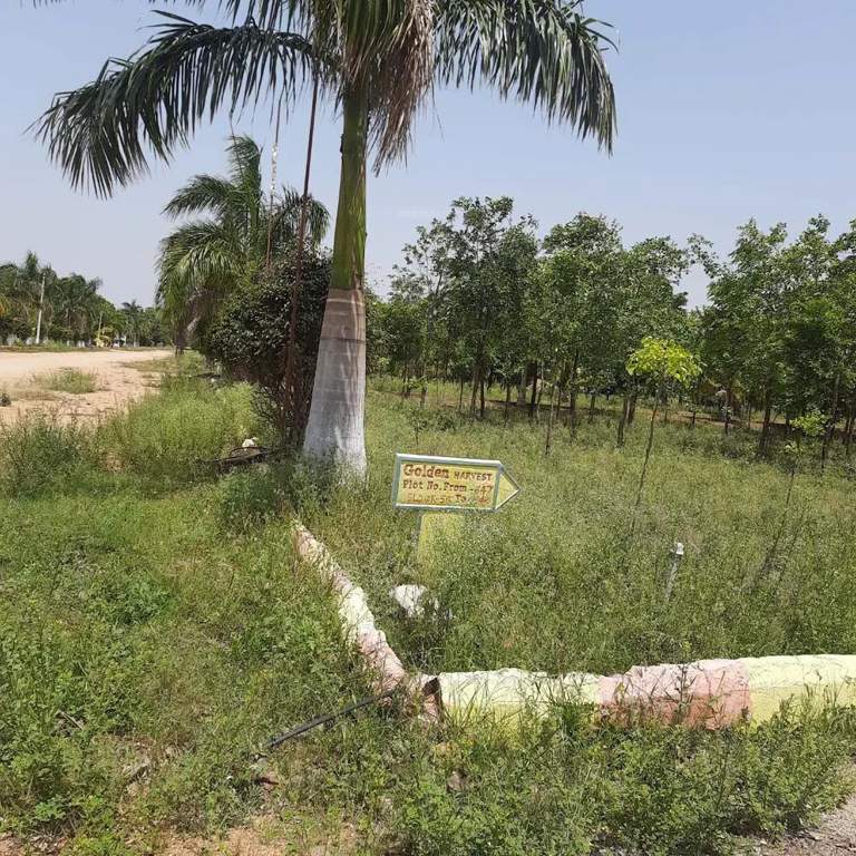  the green ridge Plot