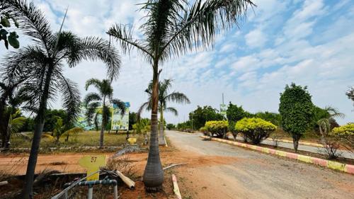  the-green-ridge Plot