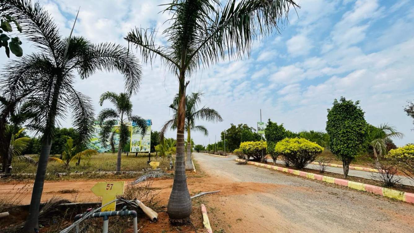  the green ridge Plot