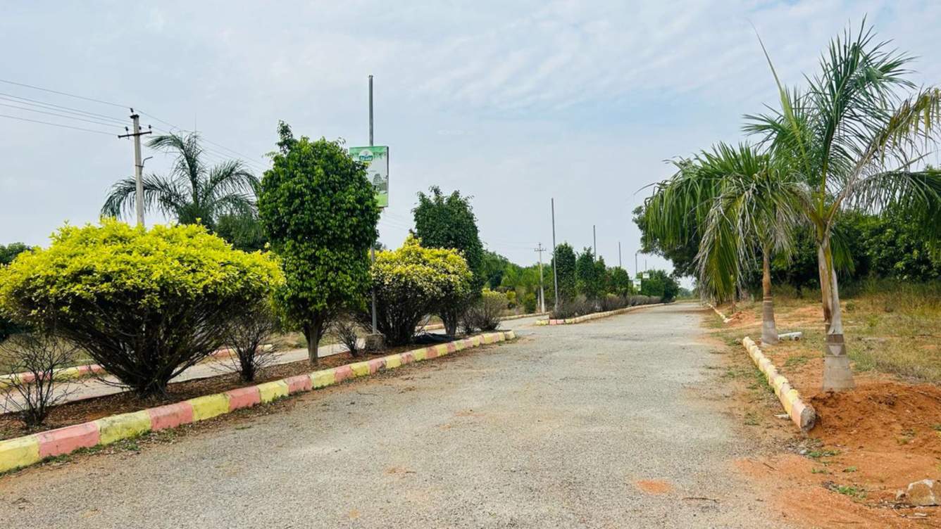  the green ridge Plot