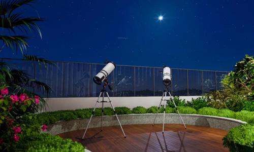  verdant-vistas Others