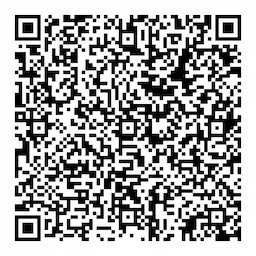 QR Image