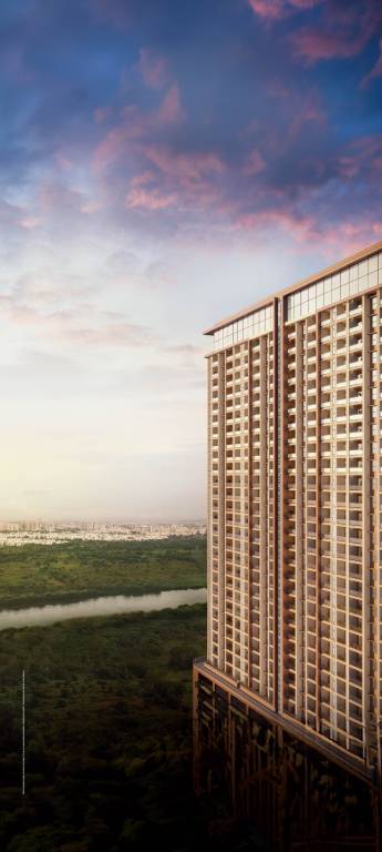 river crest Elevation