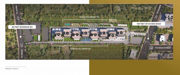  the-canary Layout Plan