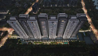  the-canary Elevation