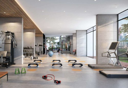  the-canary Gymnasium