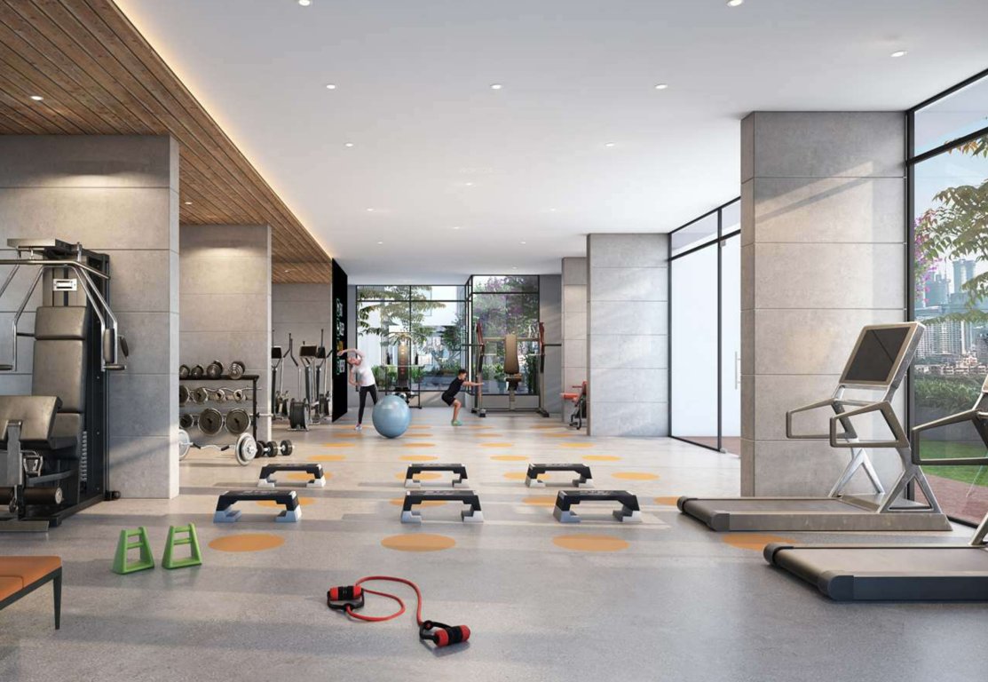  the canary Gymnasium