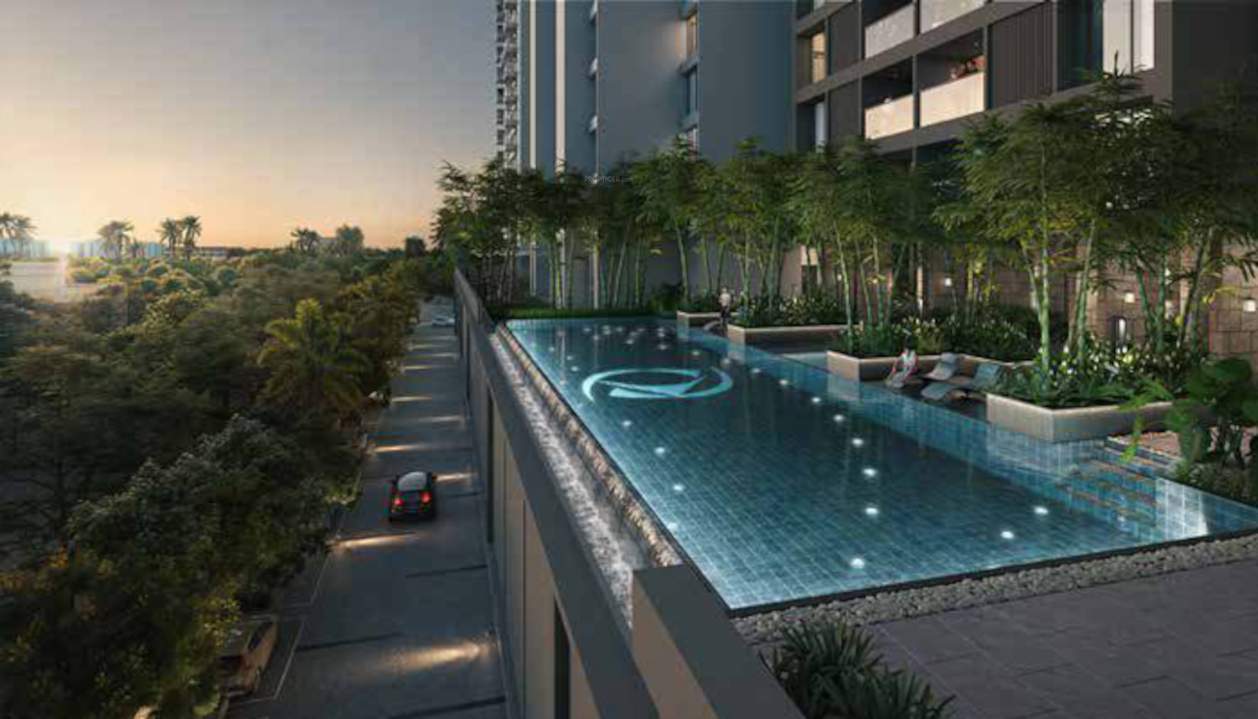  the canary Swimming Pool