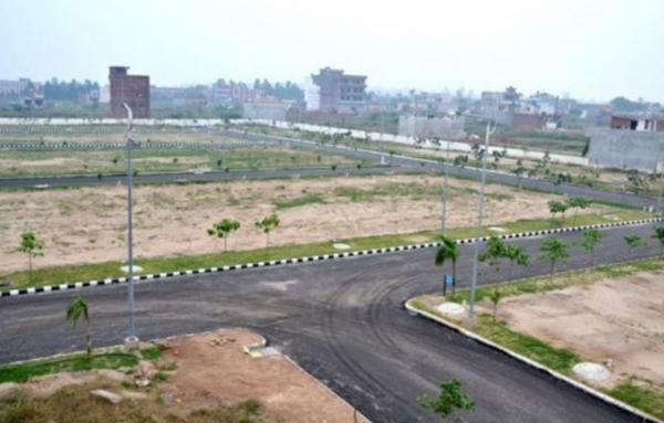 Elevation rose-n-city Elevation