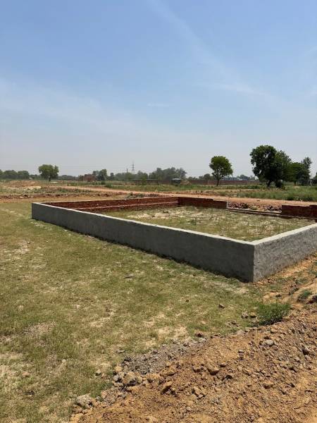  aero-gold-city Elevation