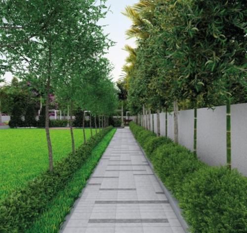 Landscape Garden and Tree Planting svs-marvel-destiny Landscape Garden and Tree Planting