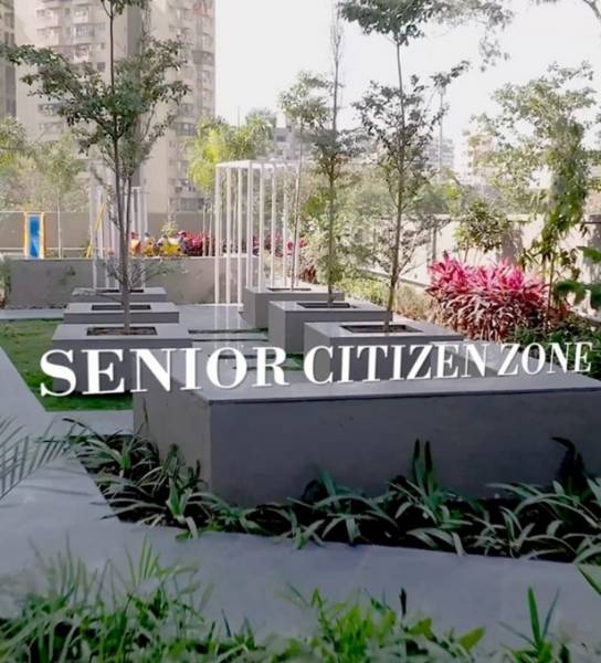  infinity-planet Senior Citizen Sitout