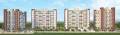 Shree Mangalmurti Associates Green Fantasy