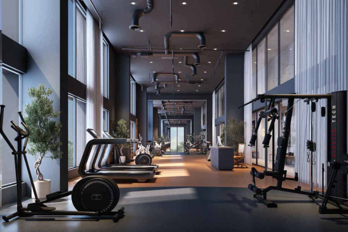  jade grove phase 2 Gymnasium