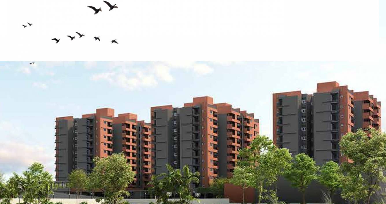 serene heights Elevation