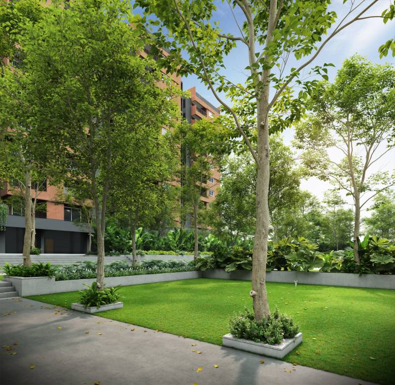 serene heights Others