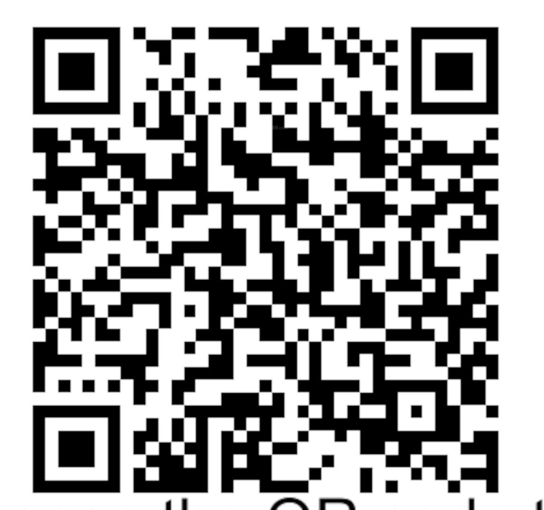 QR Image