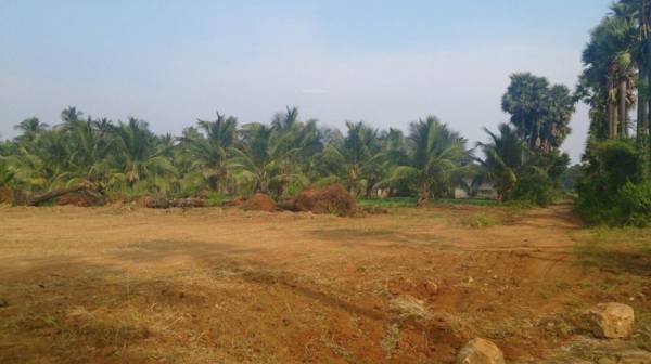 Plot neeladri-township Plot