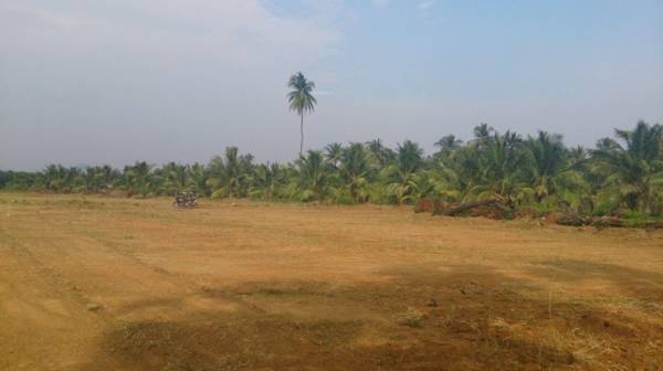 Plot neeladri-township Plot