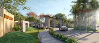 Project Image Project Image