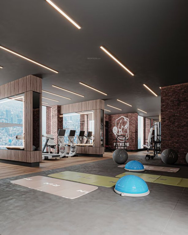  auravistas Gymnasium