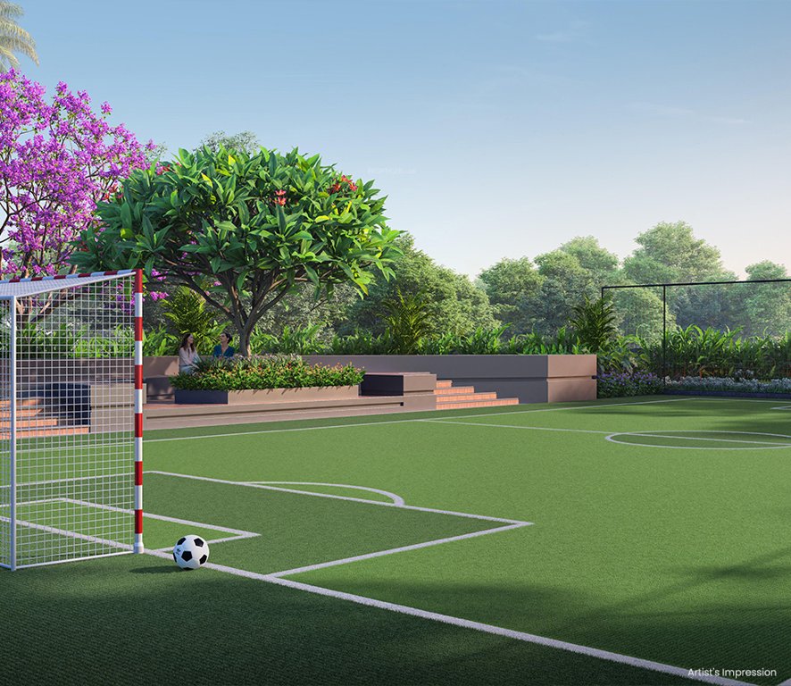  vistas Football Field