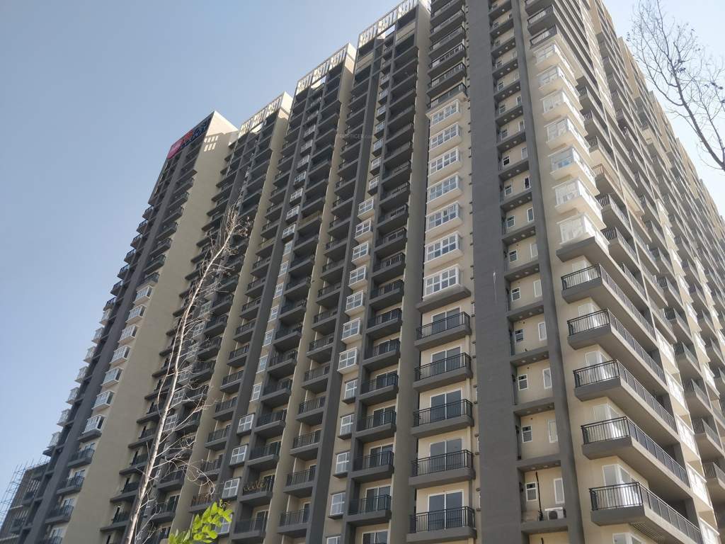  nsl east county Elevation