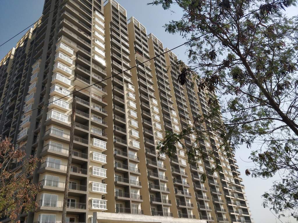  nsl east county Elevation