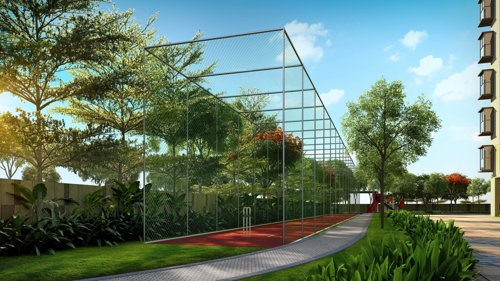  nsl-east-county Cricket arena