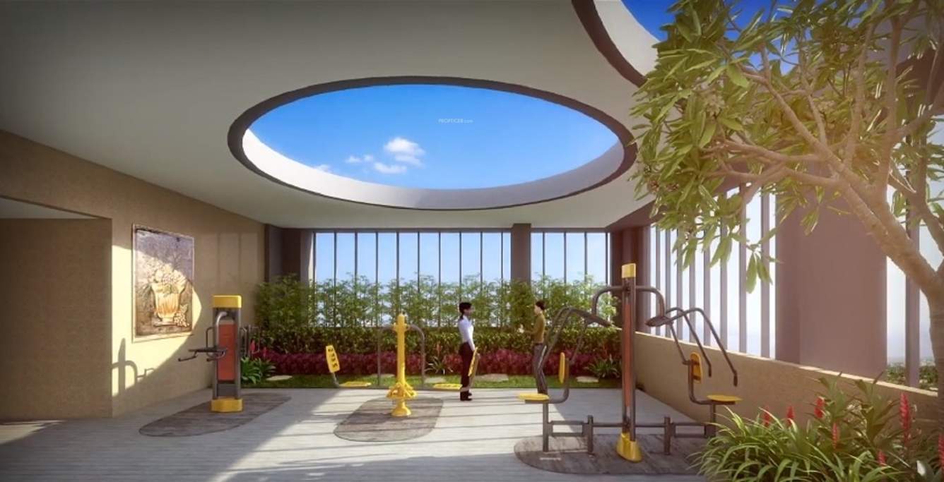  nsl east county Gymnasium