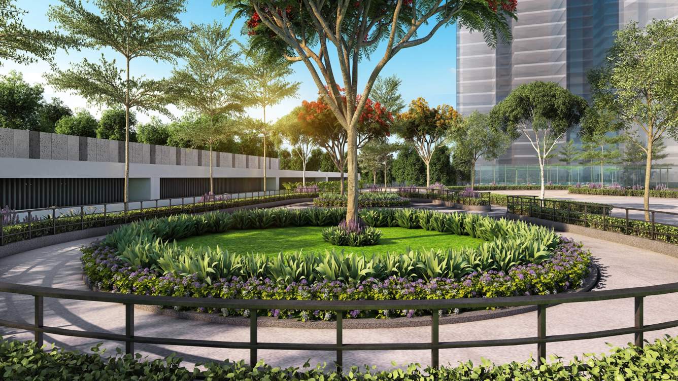  nsl east county Landscape Garden and Tree Planting