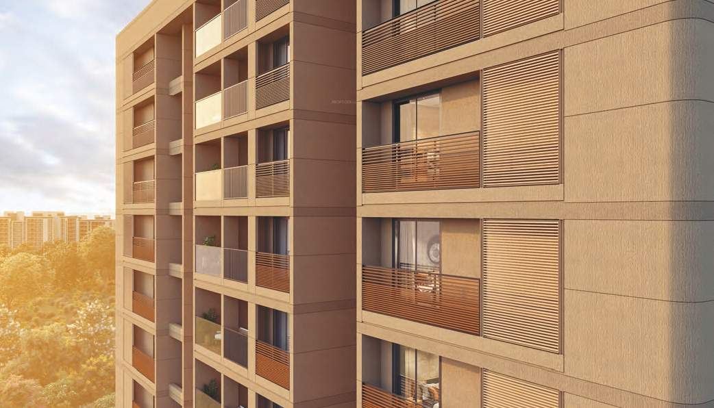  florence 242 Elevation