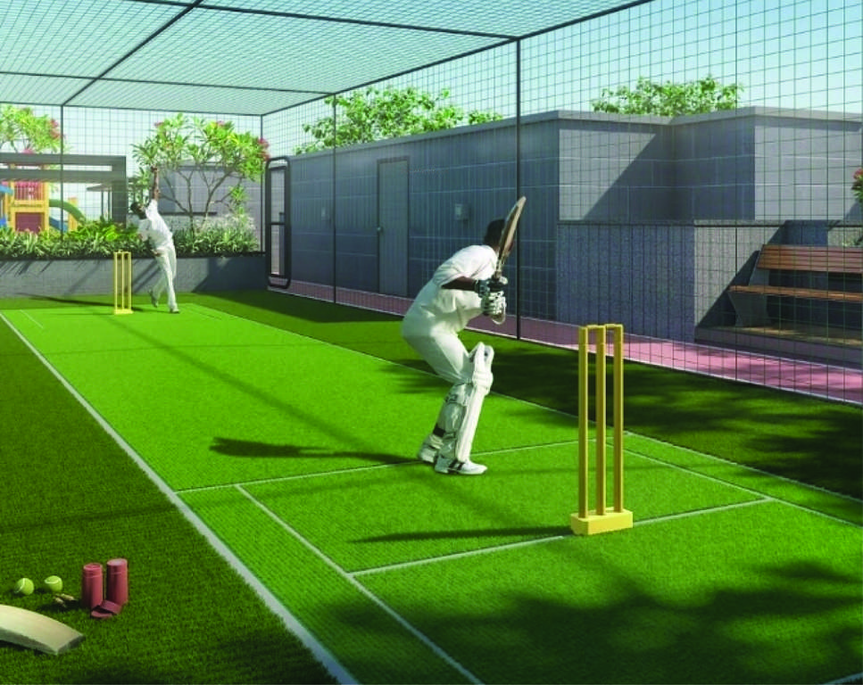  florence 242 Cricket Pitch