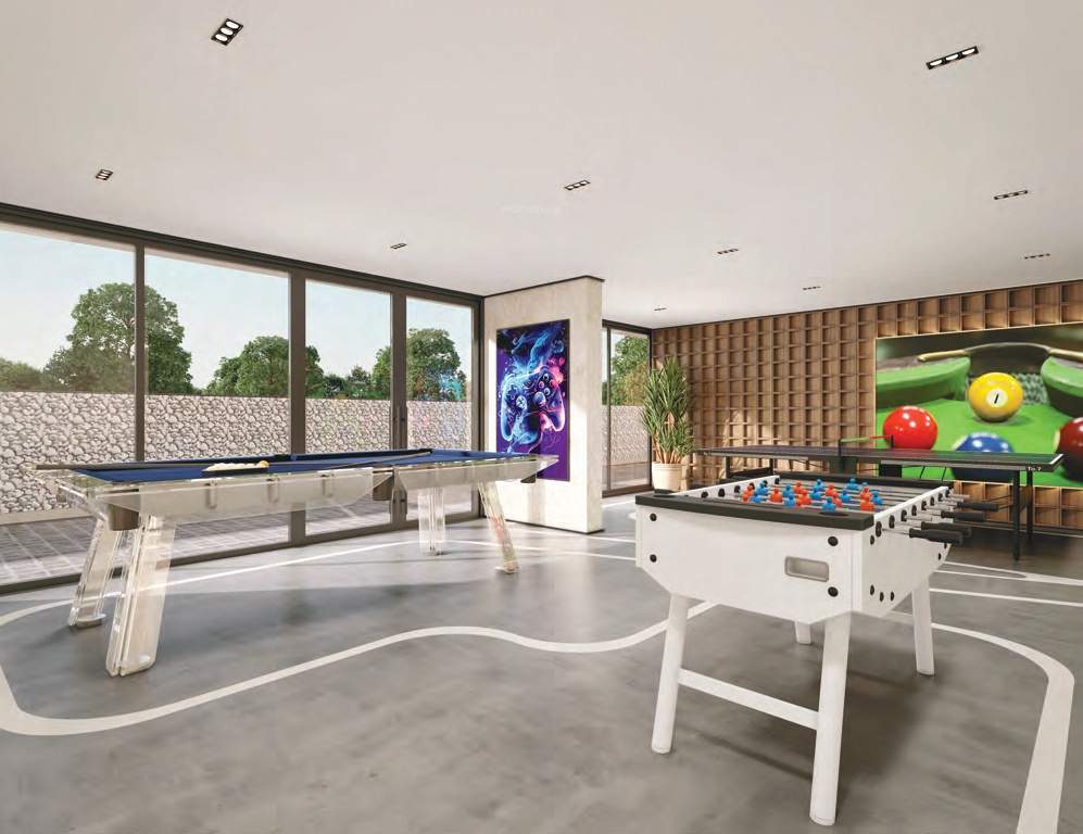  florence 242 Indoor Games