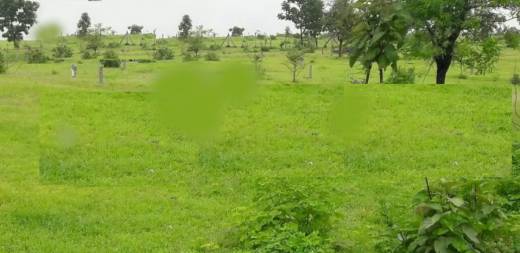 bella-vista Elevation Elevation