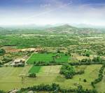  bella-vista Elevation