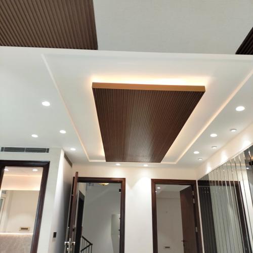  luxury-builder-floor-500-sq-yrds Living Area