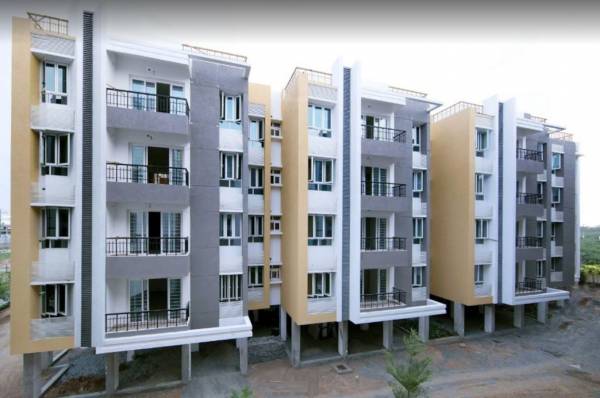  tree-oxygen-phase-3 Elevation