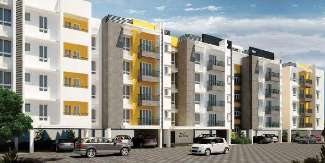  tree oxygen phase 3 Elevation