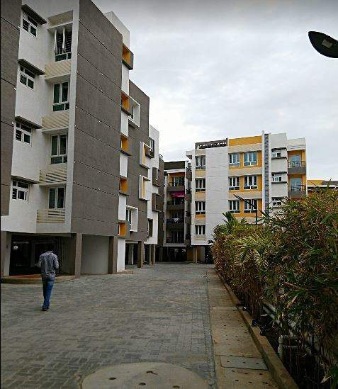  tree oxygen phase 3 Paved Compound