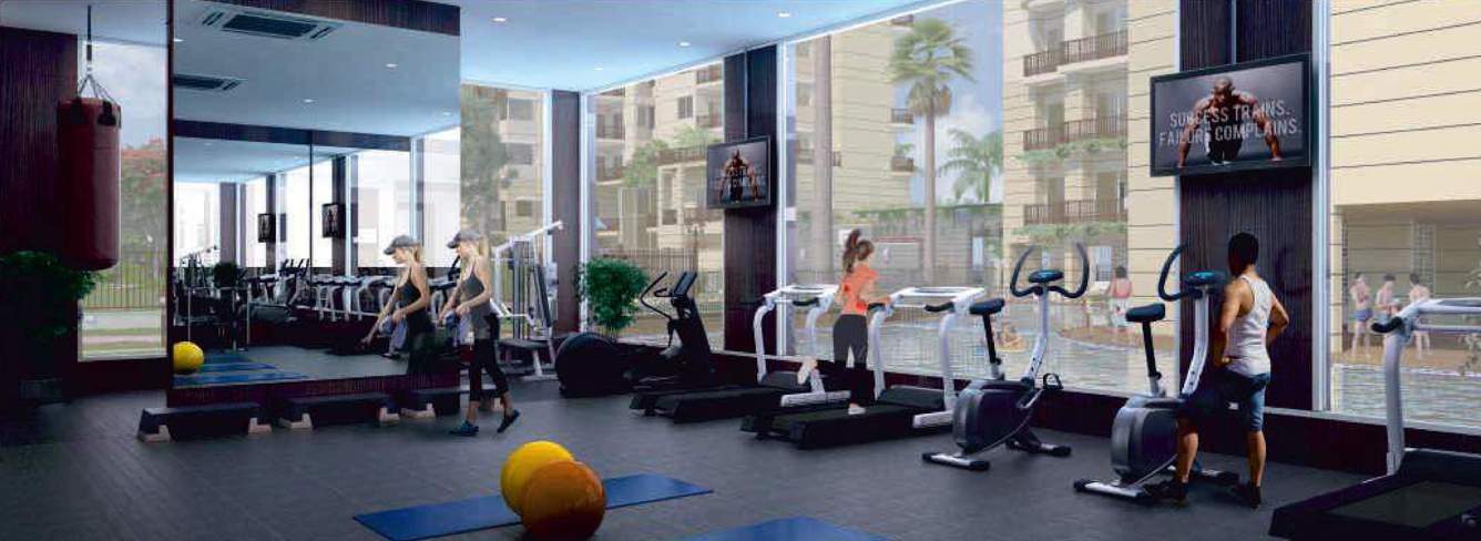 the jewel of noida phase ii Gymnasium